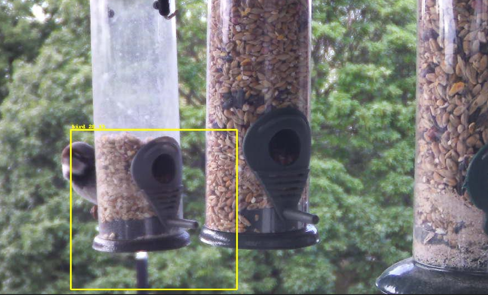 Running DOODS2 for LAN accessible TensorFlow Object Detection
